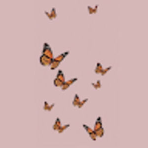 Meet your Posher, Nora